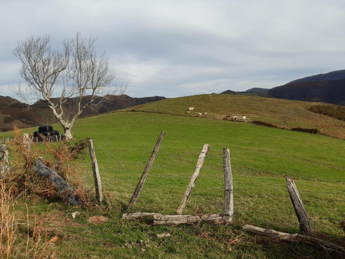 Apartamento Rural Elizondo Exteriér fotografie